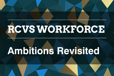 Workforce ambitions revisited
