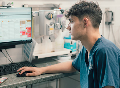 A vet doing some admin work on a computer