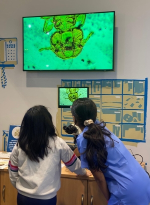 A student vet showing a young girl a parasite