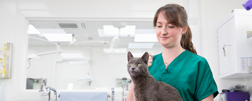 Registration of veterinary nurses educated outside the UK - Professionals