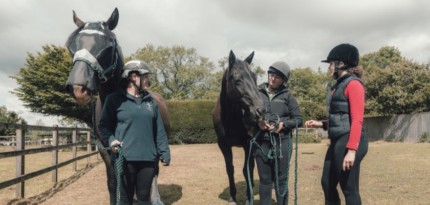 A female vet student watches on as two stables staff demonstrate putting a halter on a horse 