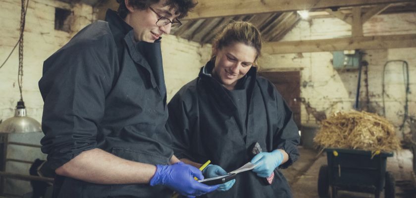 A smiling female student vet and a female vet stand examining a mobile phone and documents together in a barn