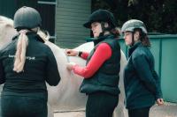 Student vets on EMS tending to a horse