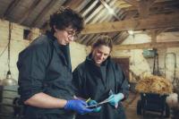 Two farm vets stand in a barn looking at their notes 