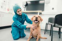 Student at Surrey vet school kneels next to a dog