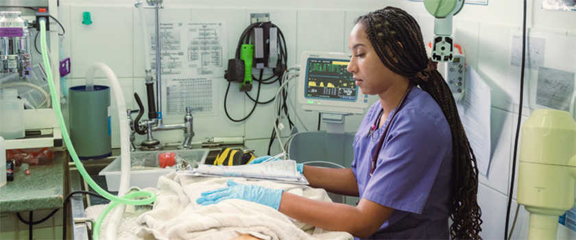 Veterinary nurse, operating table and clipboard