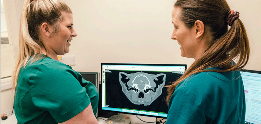 Two veterinary nurses looking at a scan of a cat