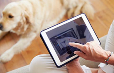 Dog and dog owner holding tablet 