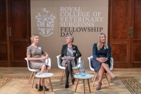 Three veterinary professionals sat on the stage talking at Fellowship Day