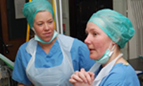 Vets in surgical gowns