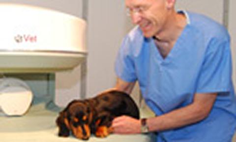 Veterinary surgeon with dog