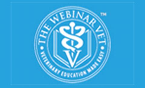 VNs and the Law webinar 