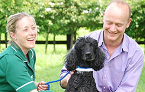 RCVS Specialist, registered veterinary nurse and canine patient