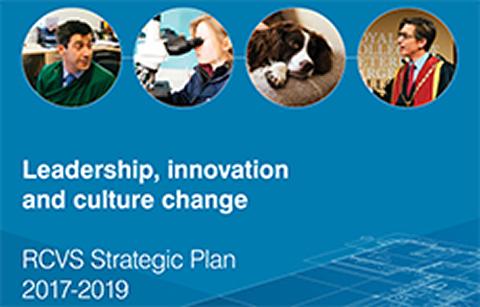 Strategic Plan 2017-2019 front cover 