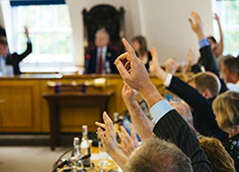 RCVS Council members raising hands 