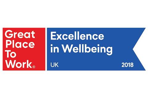Great Place to Work Excellence in Wellbeing logo 