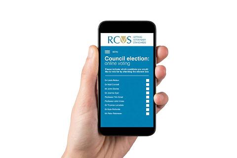 RCVS Council election graphic 