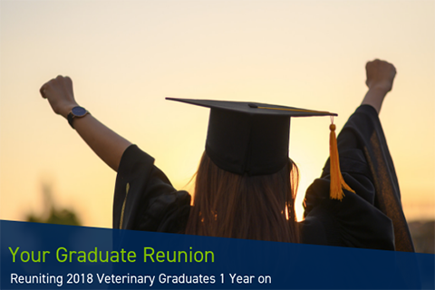 Graduate reunions providing Code refresher for new grads