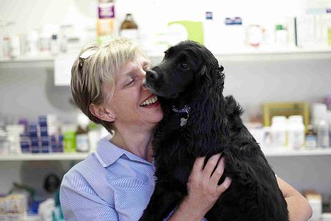 Picture of veterinary surgeon with dog 