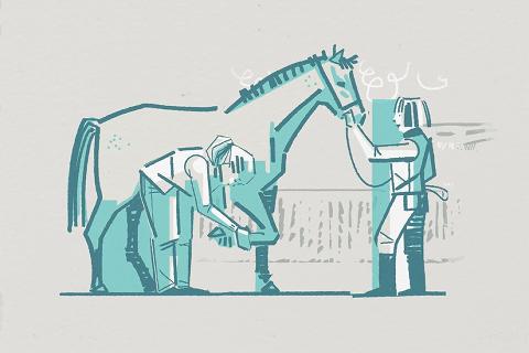 Two tone Illustration of equine vet and horse