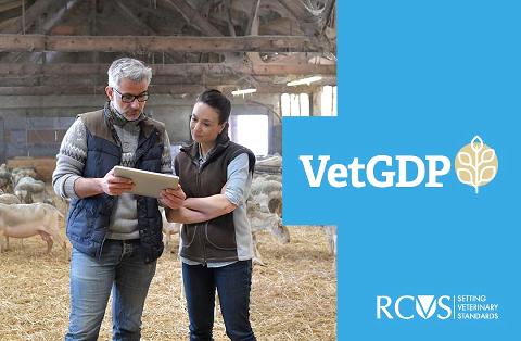 Male and female farm vet with VetGDP logo 