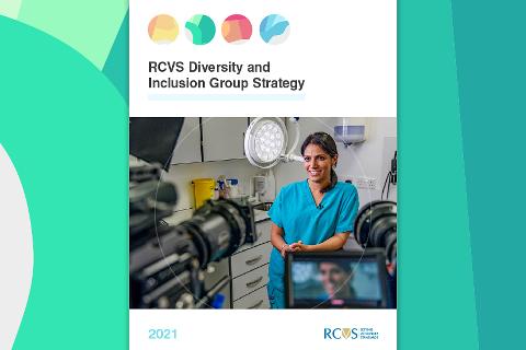 RCVS Diversity & Inclusion Group Strategy front cover 