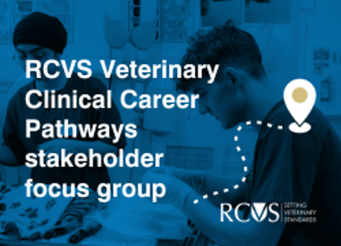 veterinary clinical careers pathways image - writing with veterinary surgeons working in the background