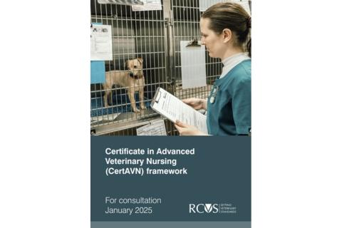 CertAVN consultation front cover