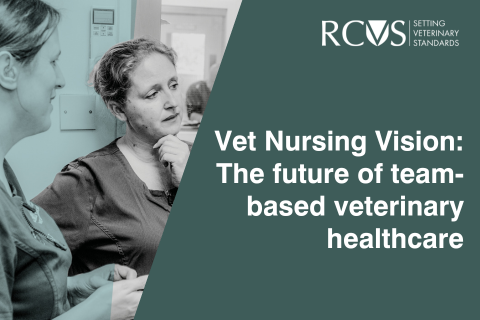 Vet Nursing Vision graphic