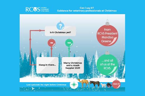 RCVS Christmas card 2020 