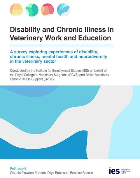 Disability and Chronic Illness Survey full report front cover 