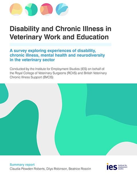 Disability and Chronic Illness Survey summary final report front cover 