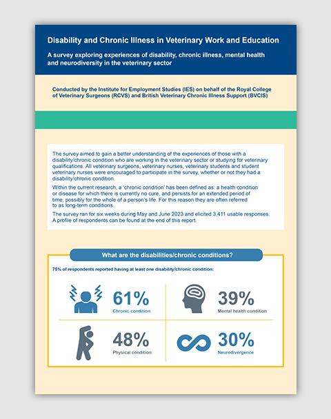 Disability and Chronic Illness Survey infographic report front cover